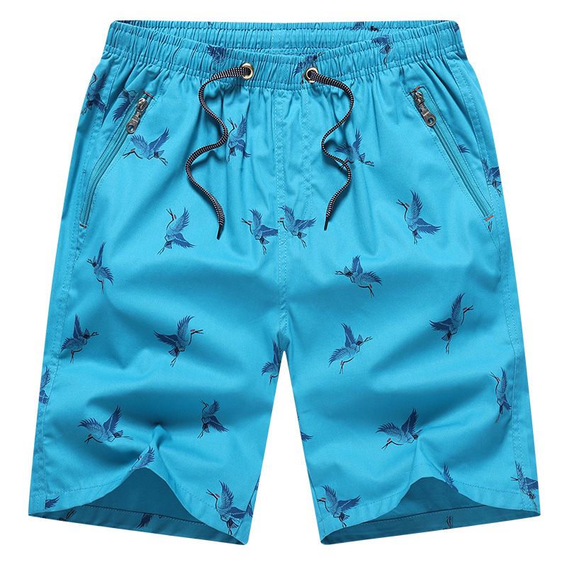 Bomuldsshorts Herre Sommer Fem Points Tynd Strand Løs Casual